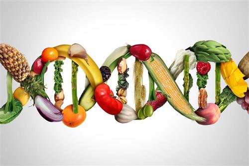 DNA veggies
